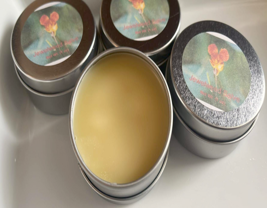 Jewelweed Salve 1 ounce
